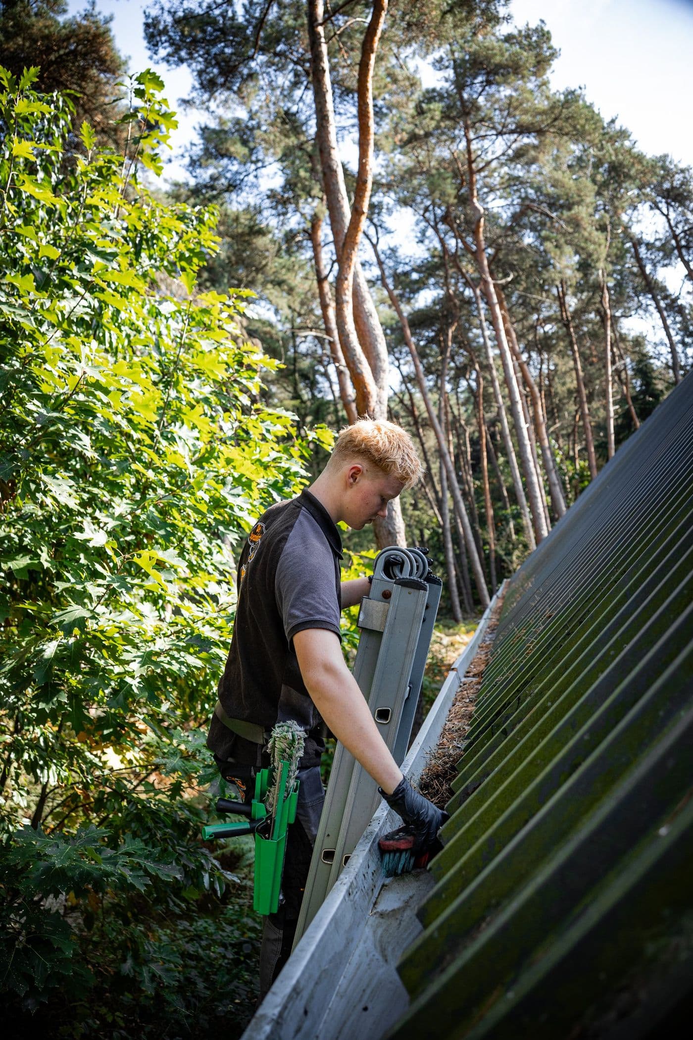 Dak- en zonnepanelenreiniging door Specialist van Nederland